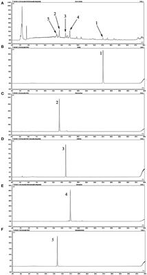 No synergistic effect of fecal microbiota transplantation and shugan decoction in water avoidance stress-induced IBS-D rat model